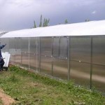 Greenhouse with vertical walls