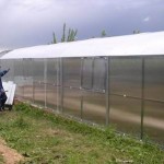 Greenhouse with vertical walls