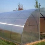 Tunnel type greenhouse