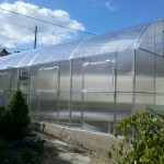 Greenhouse