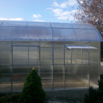 Greenhouse with windows