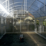 Greenhouse from the inside