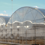 Modular greenhouse